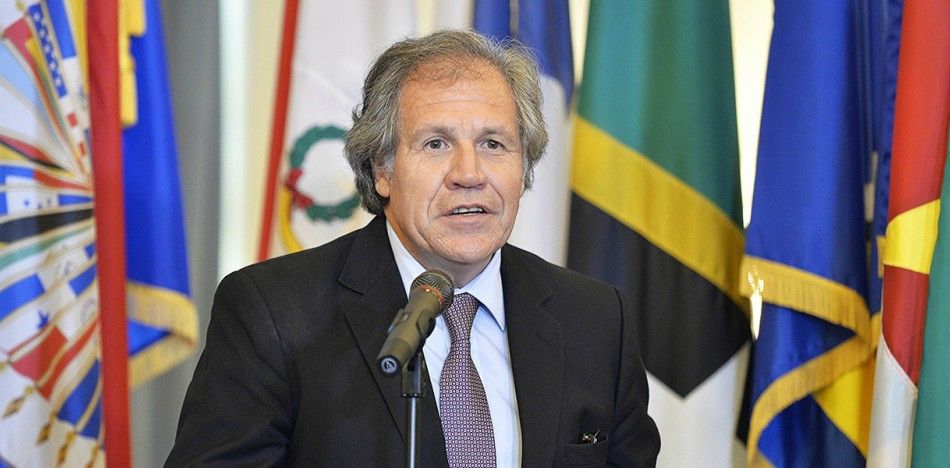 “Ofrezco mi cargo a cambio de la libertad en Venezuela”: Luis Almagro “Ofrezco mi cargo a cambio de la libertad en Venezuela”: Luis Almagro