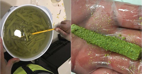 Hallan metanfetamina que simulaba ser nopales en el AICM