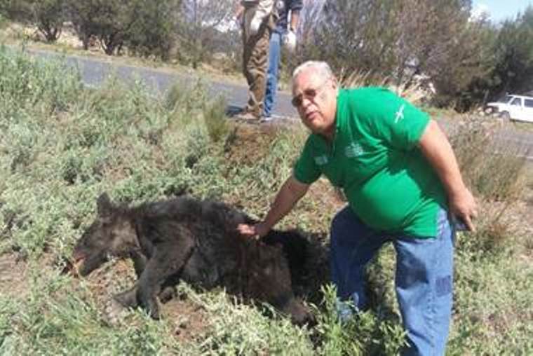 Profepa atiende muerte de oso negro en Saltillo