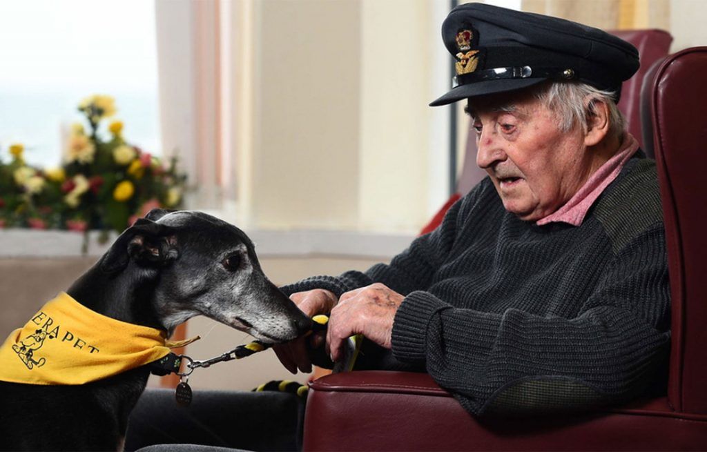 Las 10 mejores fotografías de perros - perros-4-1-1024x655