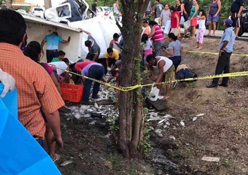 Roban carga de un camión accidentado frente a chofer muerto en Tabasco - pescados
