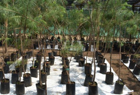 Compensarán a 20 colonias de la Ciudad de México por tren México-Toluca - tren-interurbano-