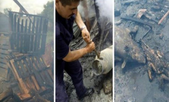 Incendio en local de chicharrones deja varios animales muertos