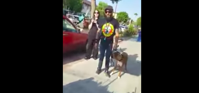 Video: músico argentino agrede a elotero en Los Ángeles