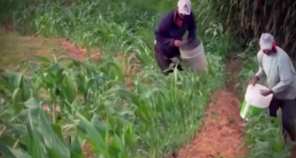 De un día a otro se fue a Texas: hija de migrante que sobrevivió - Captura-de-pantalla-2017-07-27-a-las-11.38.06