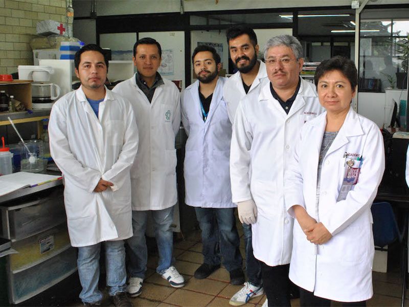 Descubren propiedades anticancerígenas en el chocolate - Investigadores-IPN-excelsior