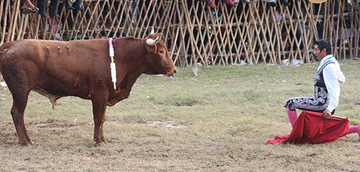 Muere Ramiro Alejandro Celis tras cornada