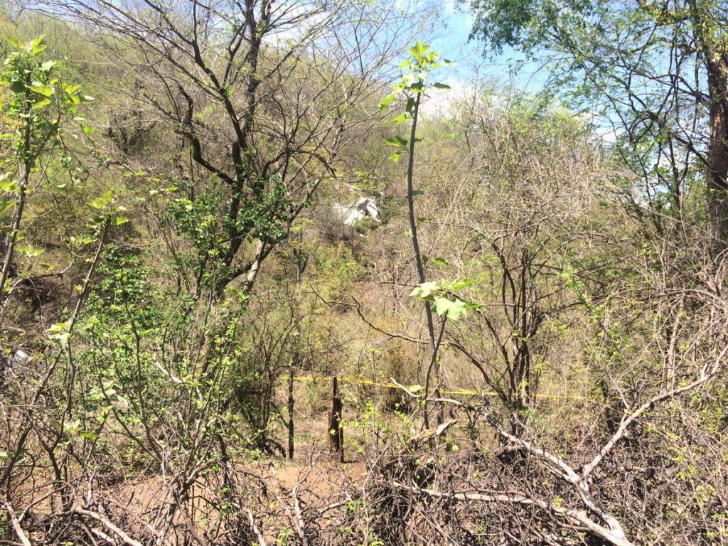 Caída de avión pequeño deja siete muertos en Sinaloa - avion-pequeño-sinaloa1-1024x768