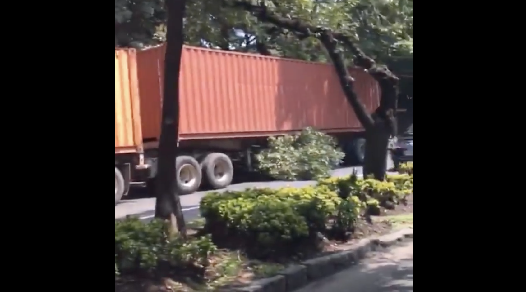 #Video Tráiler de doble remolque tira árboles en Reforma