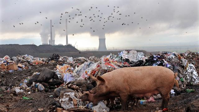 Trump anularía el plan de Obama contra cambio climático