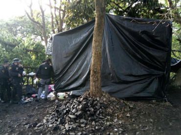 Investigan a autoridades en Jalisco por campamentos del crimen organizado - campamentos-tala