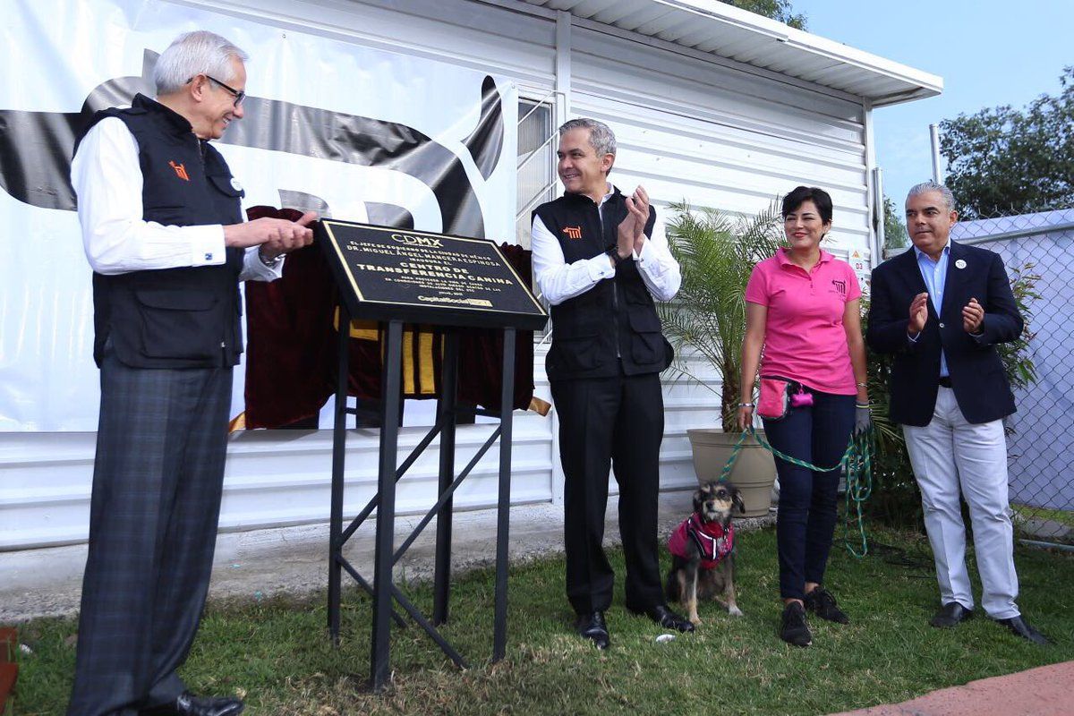 Inauguran Centro de Transferencia Canina del Metro - centro-de-tranferencia-canina-3