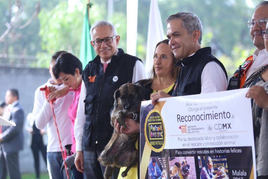 Inauguran Centro de Transferencia Canina del Metro - centro-de-transferencia-canina-2-1024x682