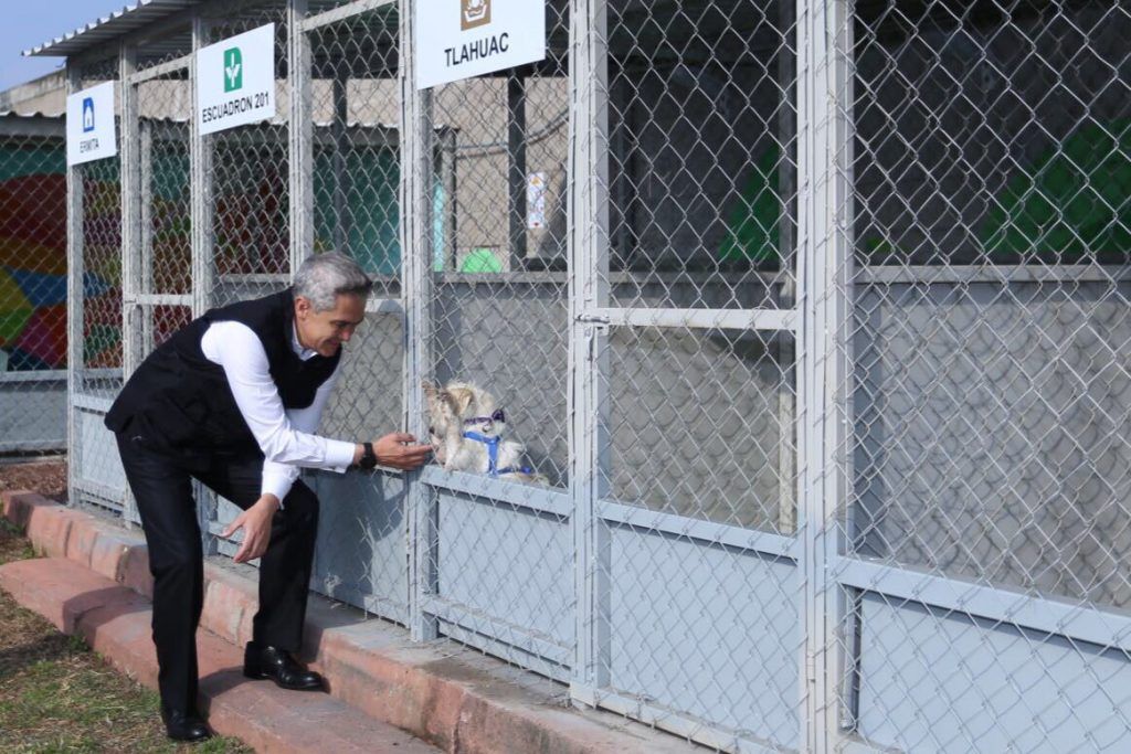 Inauguran Centro de Transferencia Canina del Metro - ctc-1024x683
