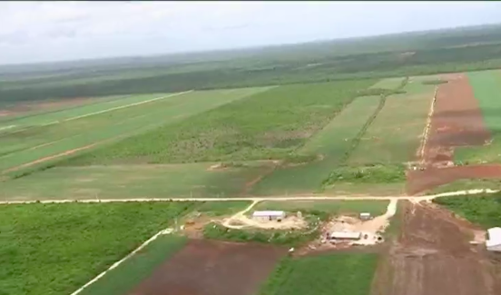 Denuncian deforestación en comunidades menonitas de Quintana Roo - deforestacion-bacalar-2