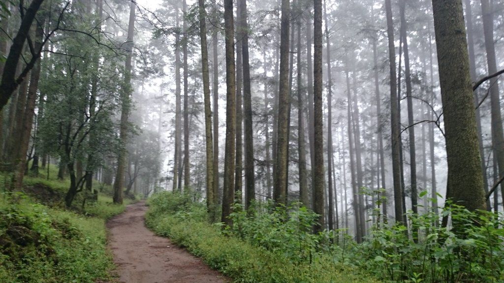 Encuentran a mujer y niños perdidos en cerro de Cuajimalpa