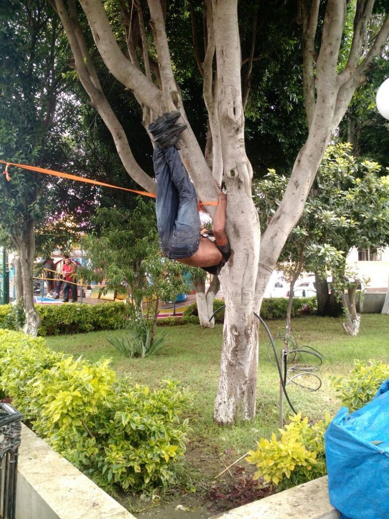 Cuelgan a presunto ladrón en árbol en Tlaxcala - hombre-colgado-del-árbol-768x1024