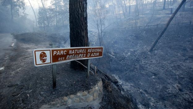 Incendios consumen bosques en sur de Francia