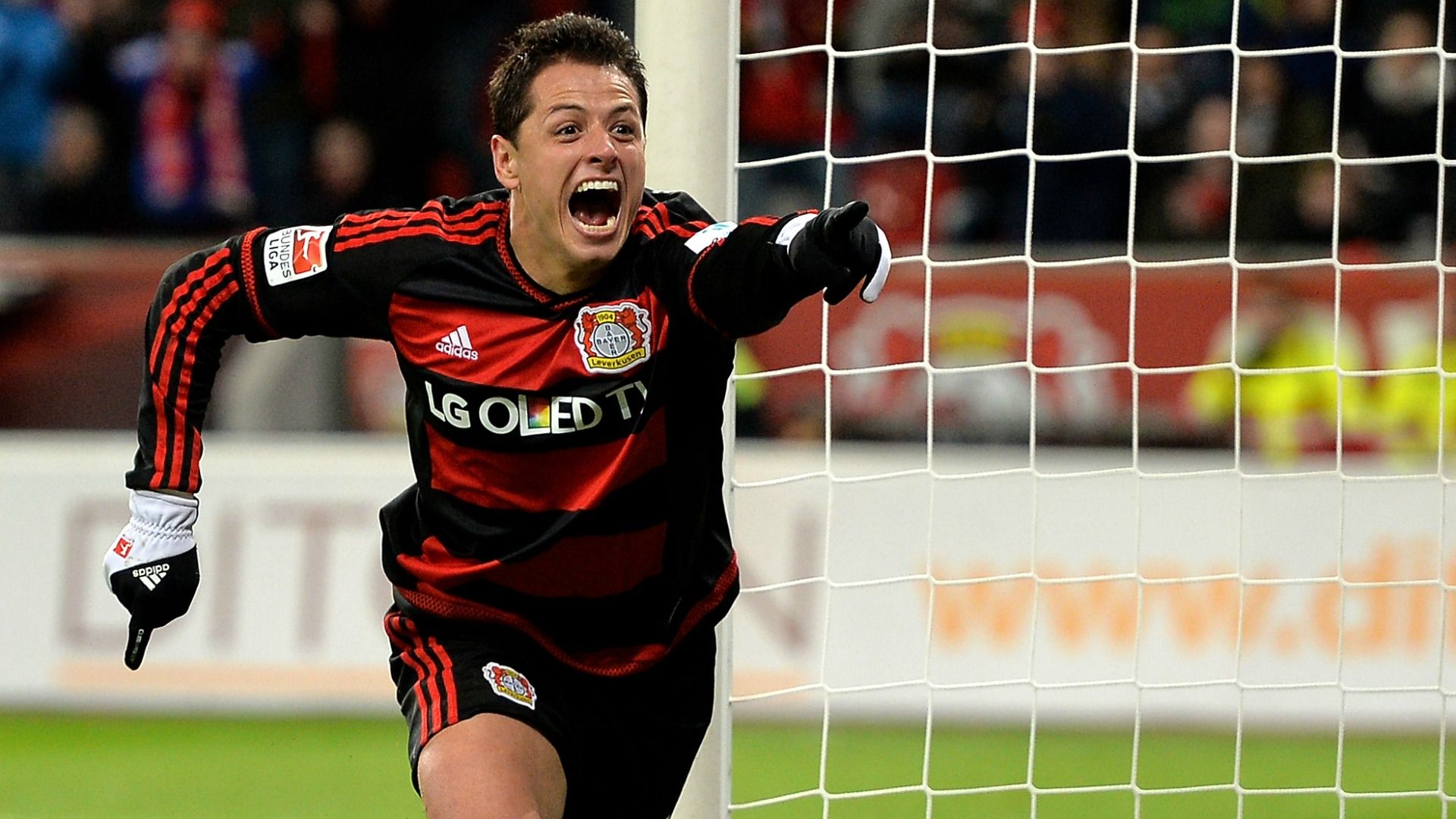 Aceptan en Leverkusen que han recibido ofertas por Chicharito