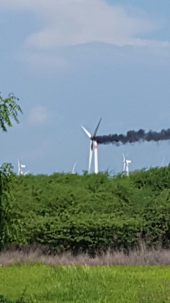 Incendio consume parte de un parque eólico en Oaxaca - oaxaca