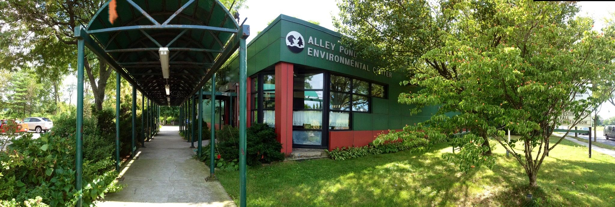 Roban tortuga de 100 años en Nueva York - pano-building2