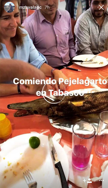 Margarita Zavala come pejelagarto - pejelagarto