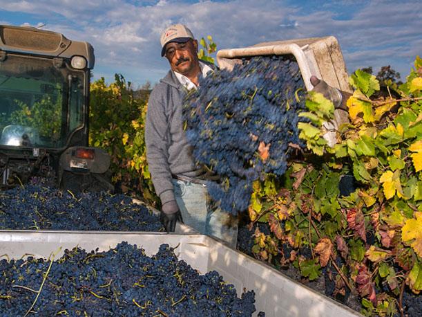 Programa de visas a trabajadores agrícolas es irrealizable: secretario de Agricultura de EE.UU. - trabajadores-agricolas-ee.uu_.
