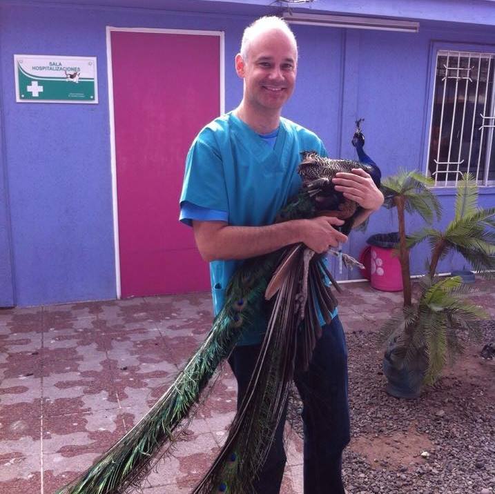 Asesina a empleados y se suicida después de perder en casino de Chile - veterinario-chile