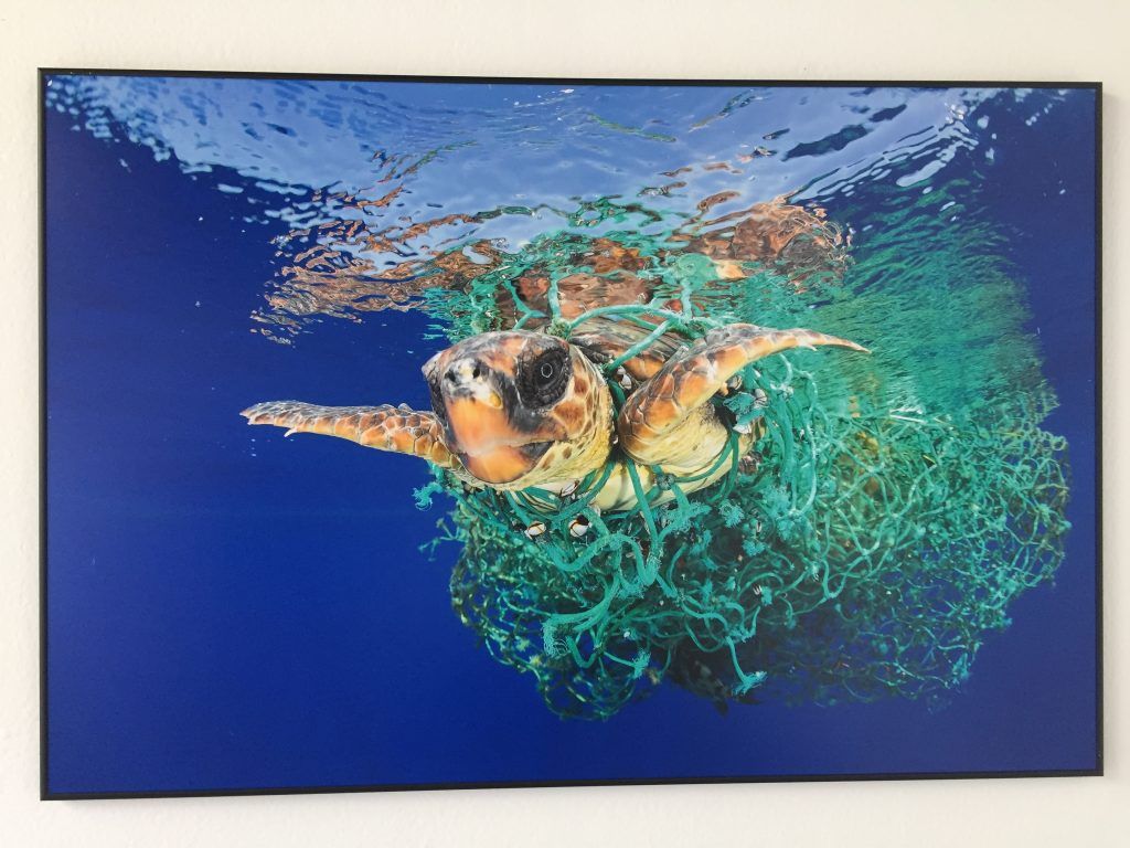 Inauguran exposición del World Press Photo 2017 - wpp15-1024x768