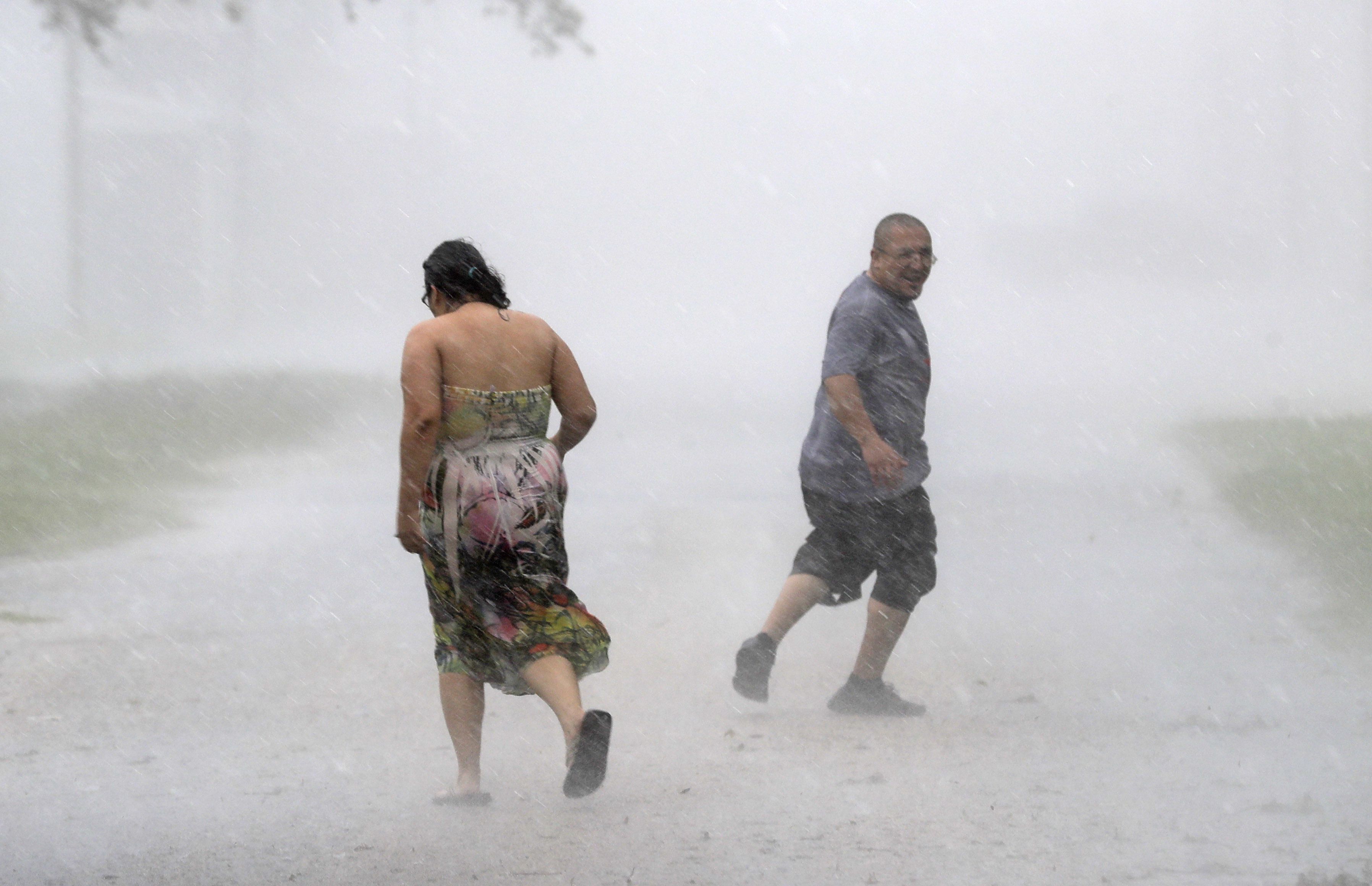 Perro carga comida tras paso de Harvey