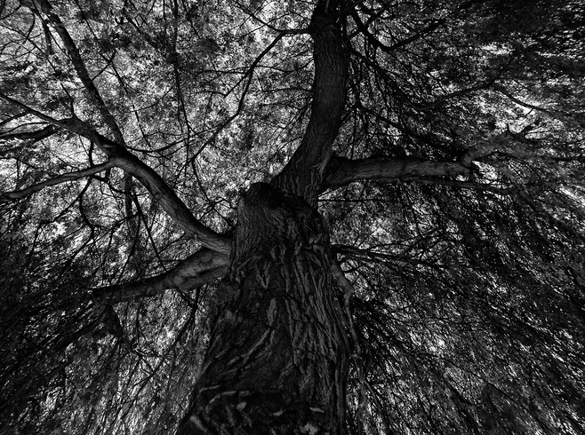 Ivonne Frid compite en The Seventh Annual Exposure Photography Awards