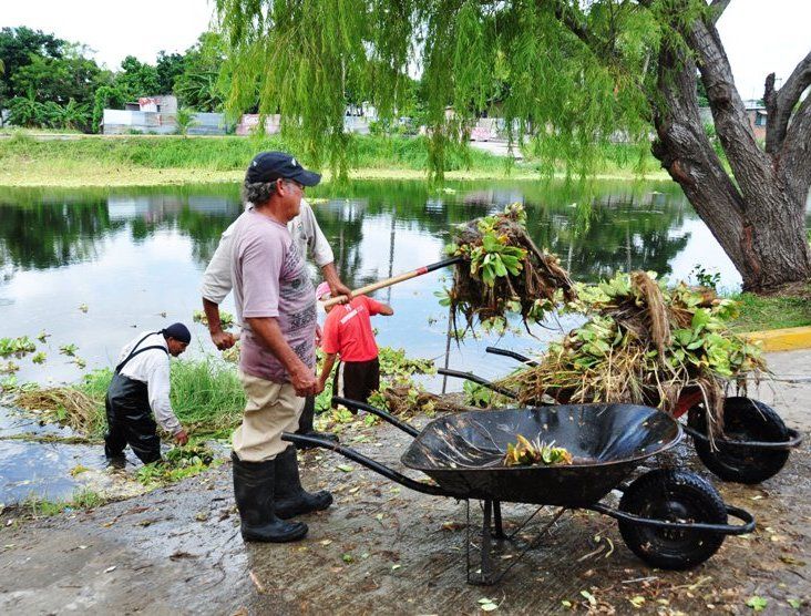 Oaxaca, Chiapas y Puebla tienen la peor calidad laboral en el país - DSC_0227