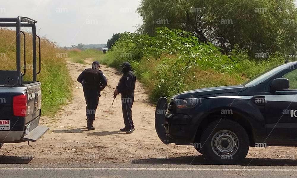 Hallan tres cadáveres en Guanajuato - Foto-de-AM