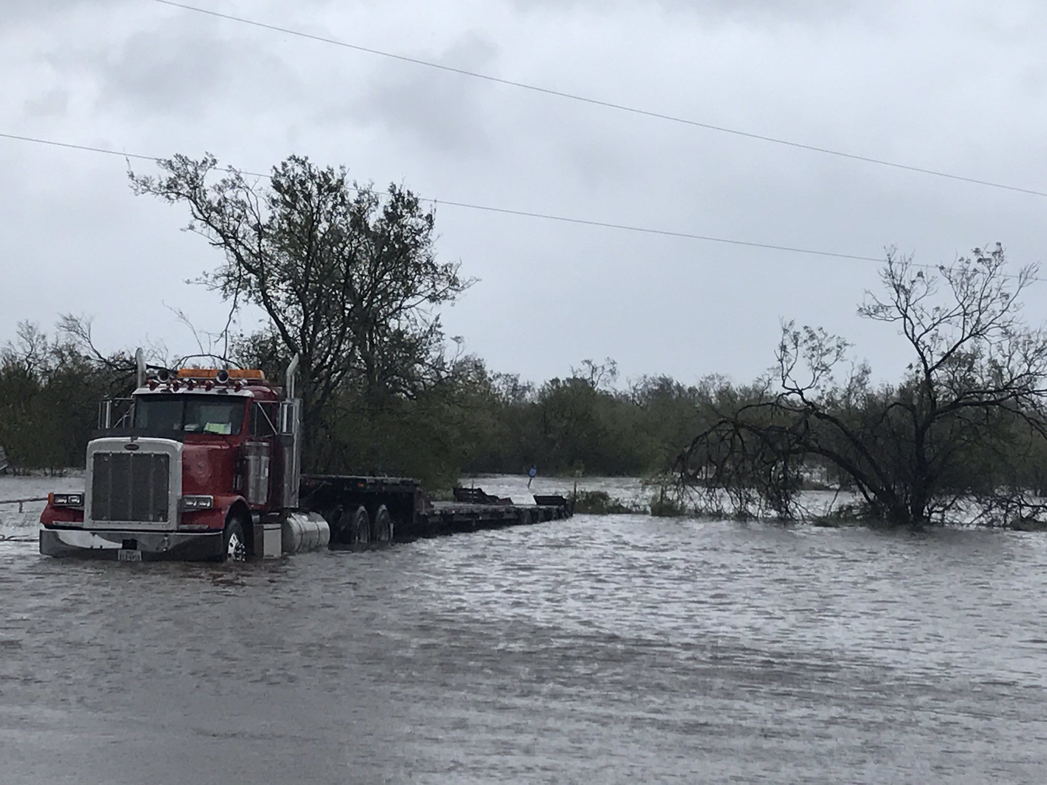 Rescatan a 15 de asilo en Texas
