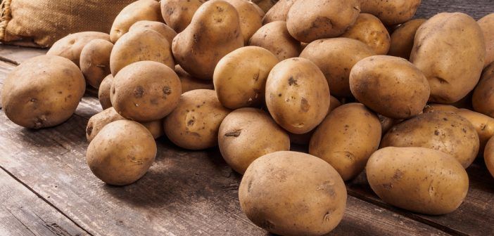 Sagarpa en desacuerdo con prohibición de papa fresca de EE. UU.