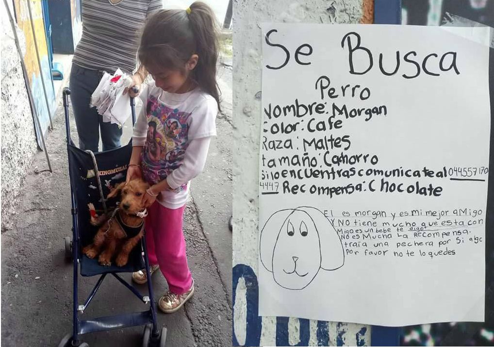 Niña encuentra a su perro con cartel hecho por ella en Cuauhtémoc
