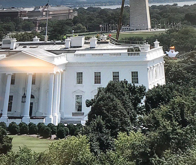 #VIRAL Aparece pollo inflable con copete de Trump frente a la Casa Blanca - Pollo-Trump-e1502321044981