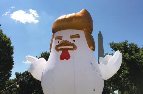 #VIRAL Aparece pollo inflable con copete de Trump frente a la Casa Blanca