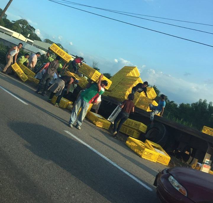 Saquean tráiler con cargamento de pollos en Tabasco - Pollos-Foto-de-Diario-Presente-e1502426344288