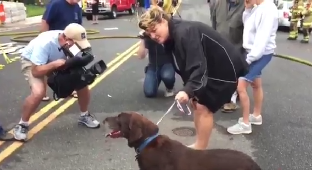 Pareja encuentra a su perro luego de explosión de vivienda en California Pareja encuentra a su perro luego de explosión de vivienda en California