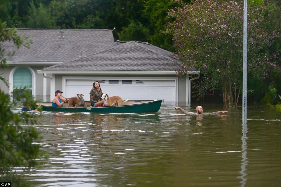 #Galería Houston bajo el agua tras paso de Harvey - ap-hous