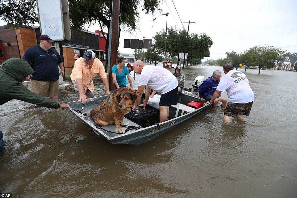 #Galería Houston bajo el agua tras paso de Harvey - ap-pero3443