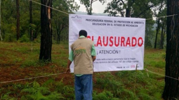 Clausuran aserraderos en el Nevado de Toluca