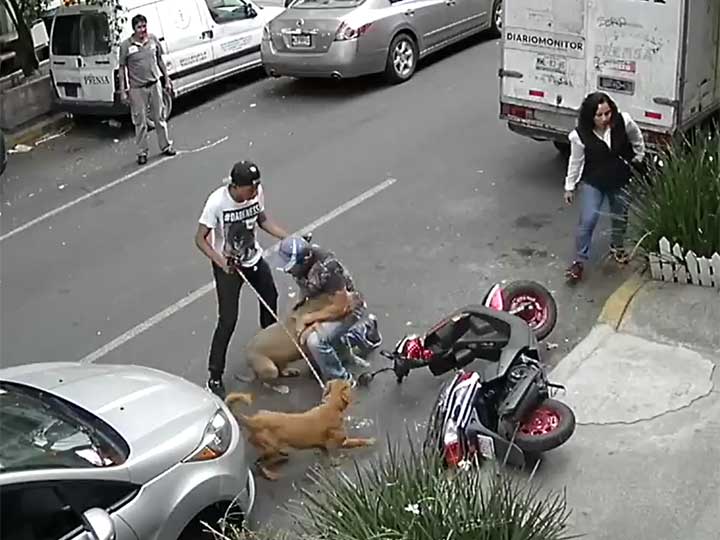 #Video Nuevo ataque de un pitbull en la Cuauhtémoc