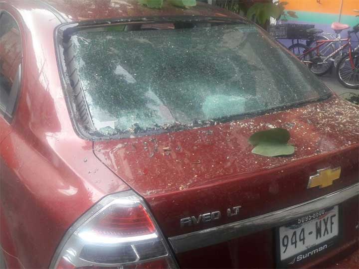 Árbol cae sobre dos coches en Santa María la Ribera - árbol