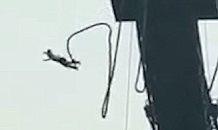 #Video Adolescente sobrevive tras romperse cuerda de bungee