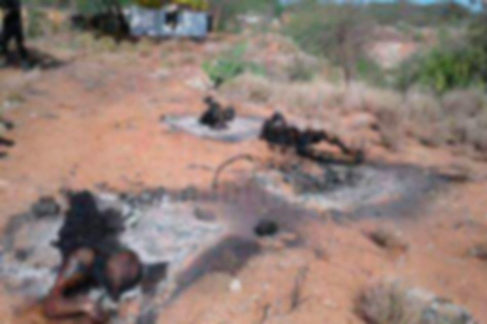 Encuentran tres cuerpos calcinados en Reynosa