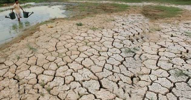 Al menos 480 municipios de México son vulnerables al cambio climático