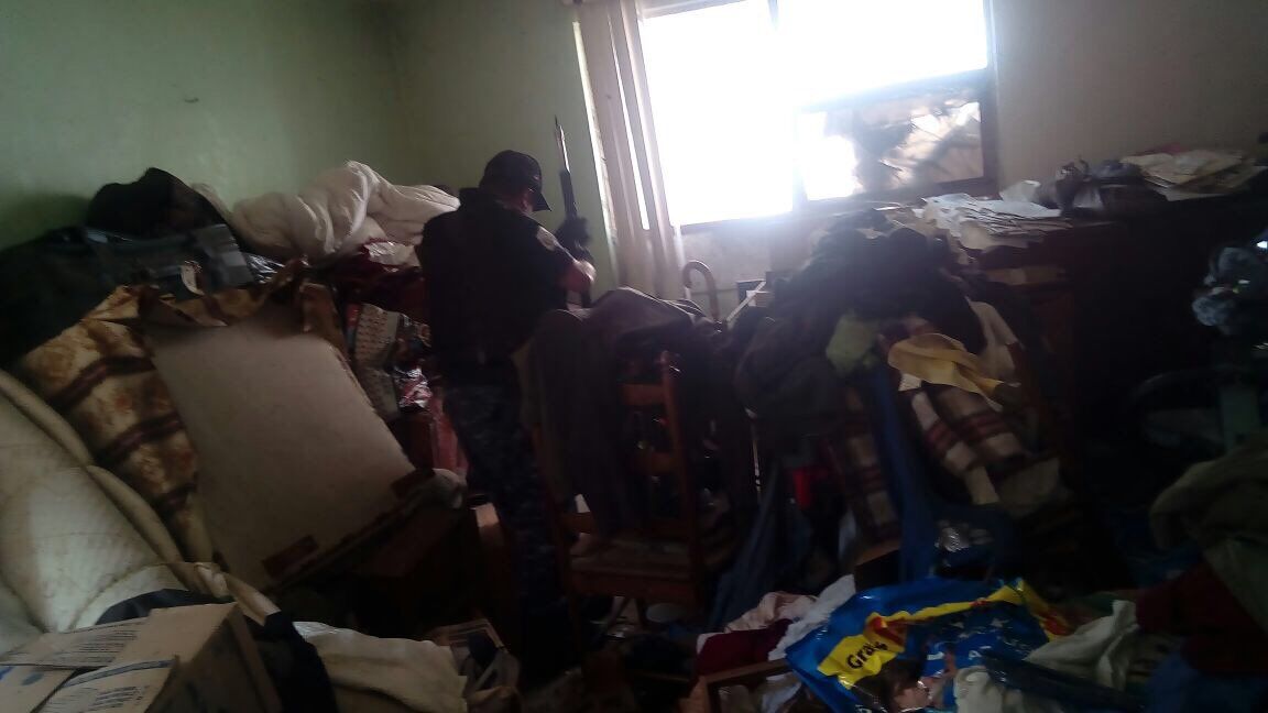 Rescatan a 13 perros y un gato de incendio en la Jardín Balbuena