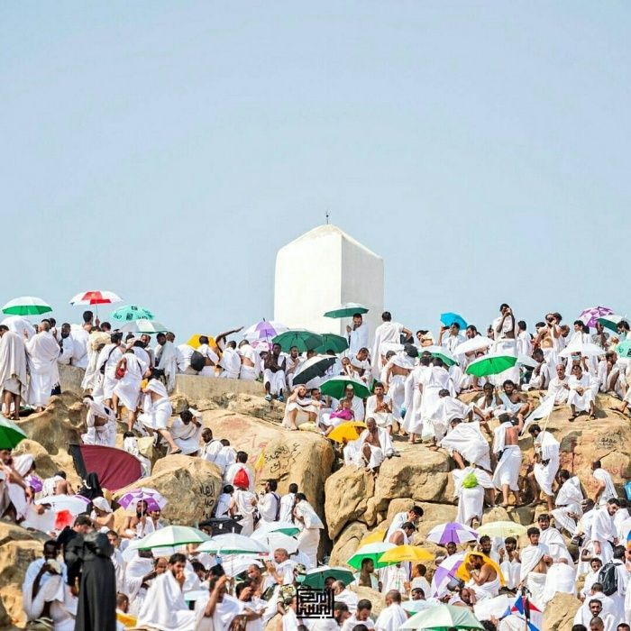 Continúa el arribo de peregrinos a la Meca por el hach - hach